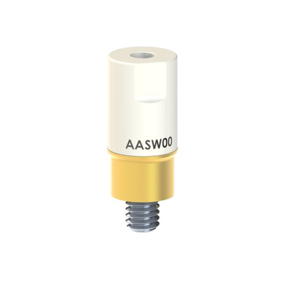 AA-SW-00