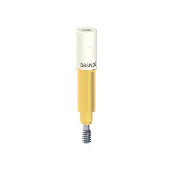 BB-SN-02