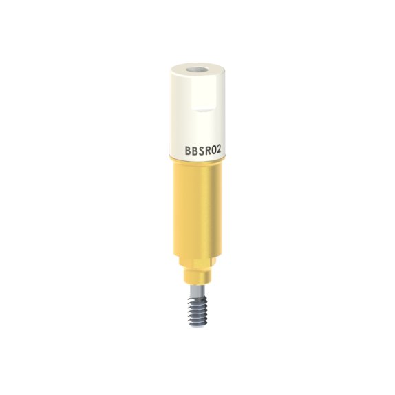 BB-SR-02