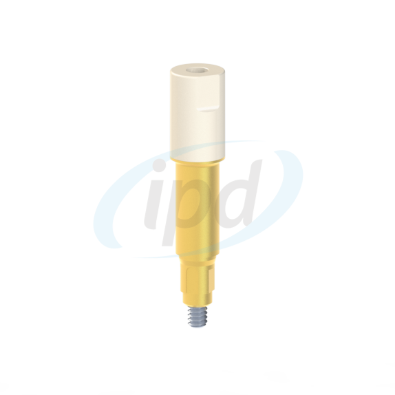 IPD-DBSR02