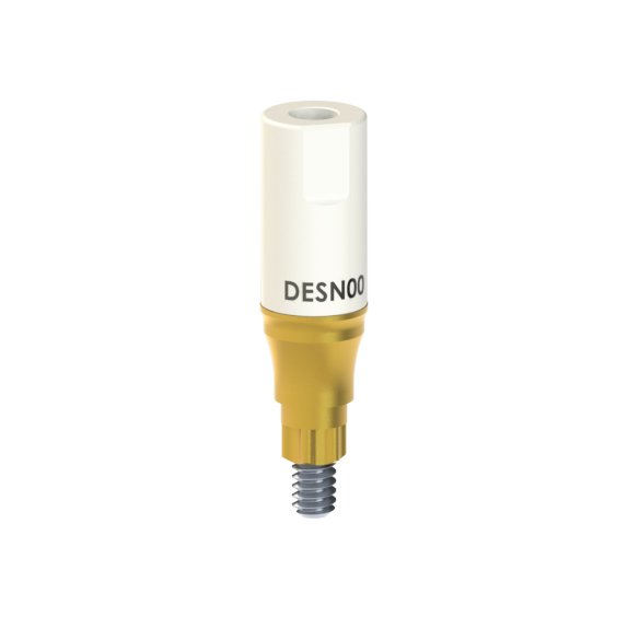 DE-SN-00