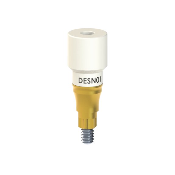 DE-SN-01