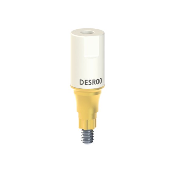 DE-SR-00