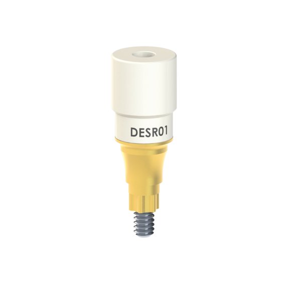 DE-SR-01