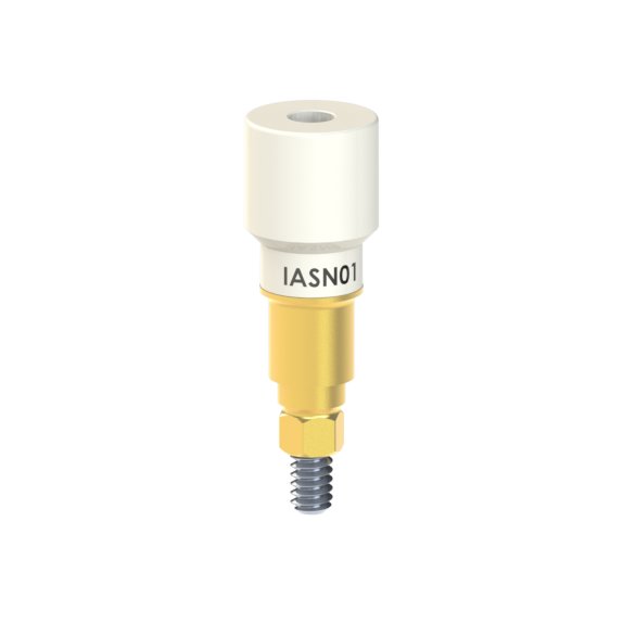 IA-SN-01
