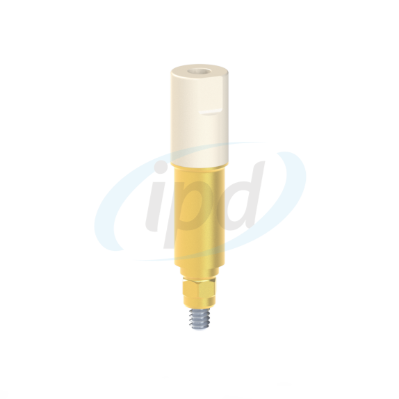 IPD-IASR02