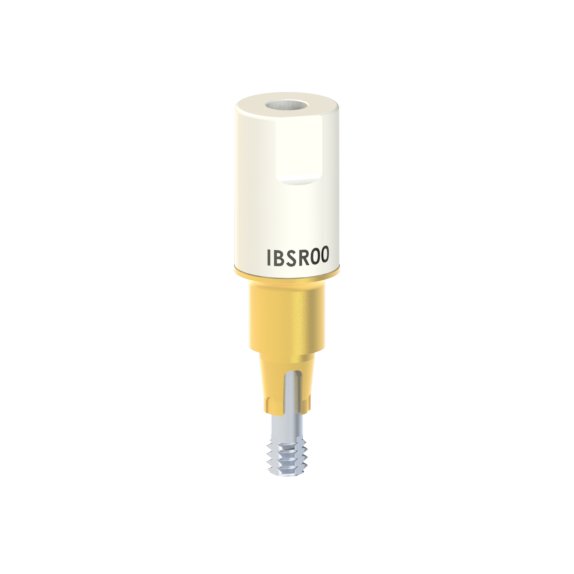 IB-SR-00