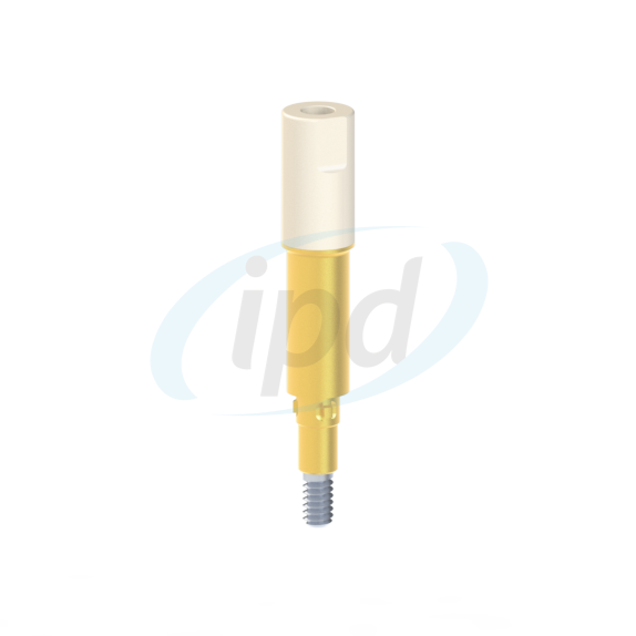 IPD-JASN02
