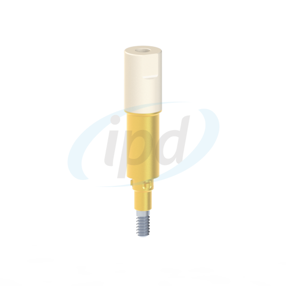 IPD-JASR02