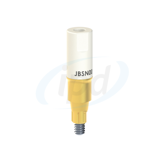 IPD-JBSN00