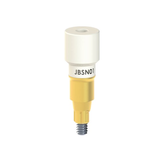 JB-SN-01