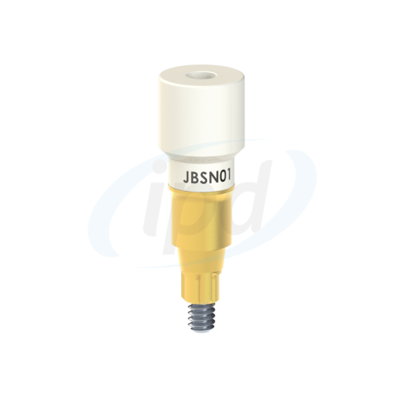 IPD-JBSN01
