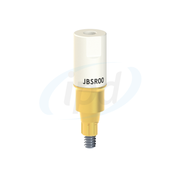 IPD-JBSR00