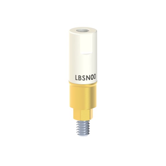 LB-SN-00