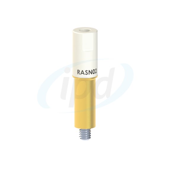 RA-SN-02