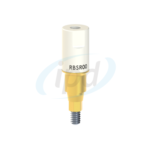 IPD-RBSR00
