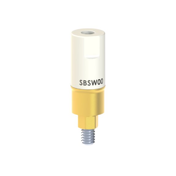 SB-SW-00