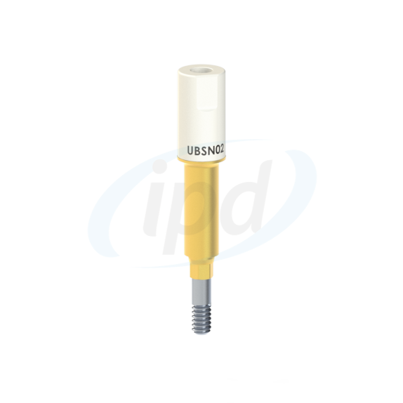 IPD-UBSN02