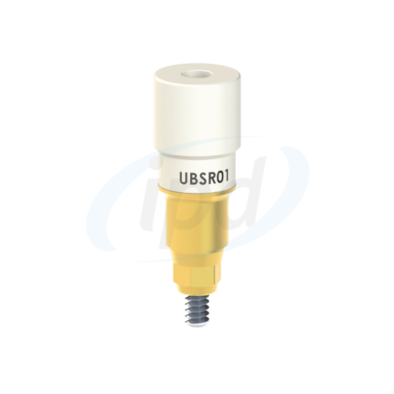 IPD-UBSR01
