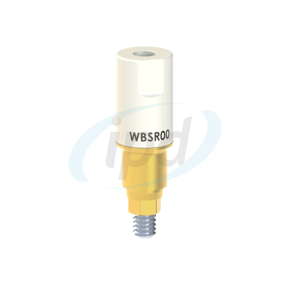 IPD-WBSR00