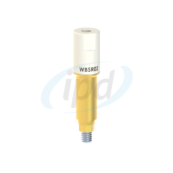 IPD-WBSR02