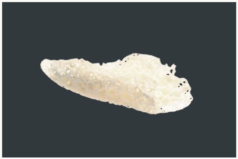 maxgraft® bone builder, anden blok, PMIA2