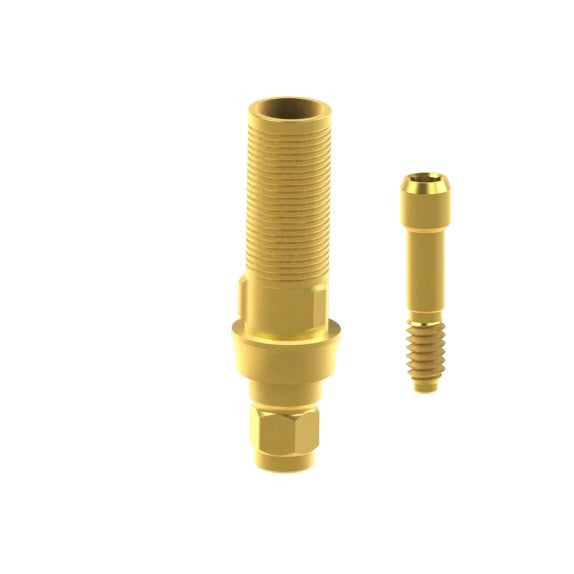 ia-in-02-3d__tin