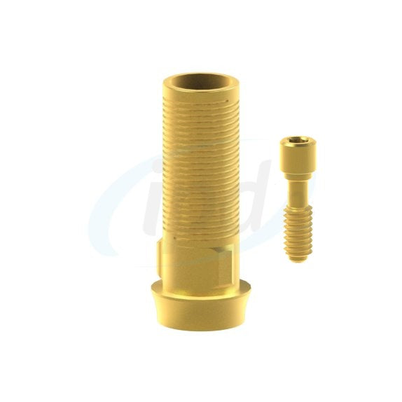 ra-in-02-3d__tin