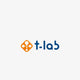 T-LAB