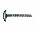 SCHLEE Umbrella-Screw, cross Ø1.2 mm