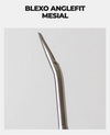 Mesial