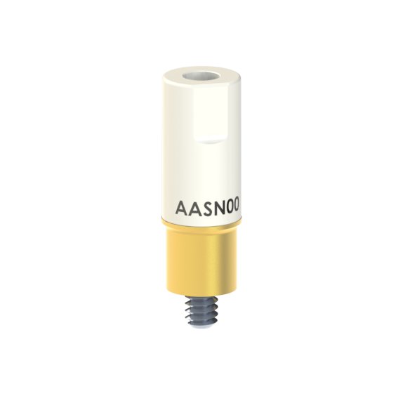 AA-SN-00