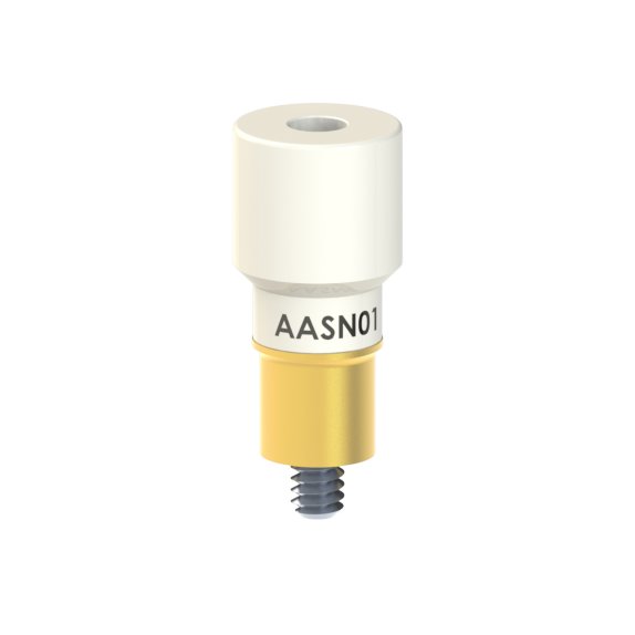 AA-SN-01