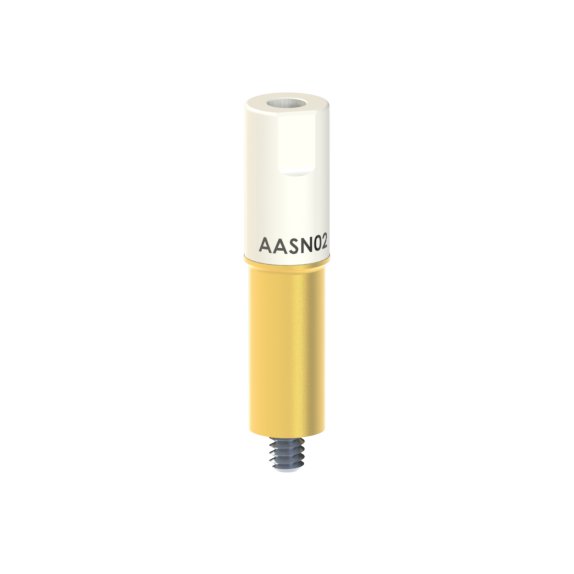 AA-SN-02