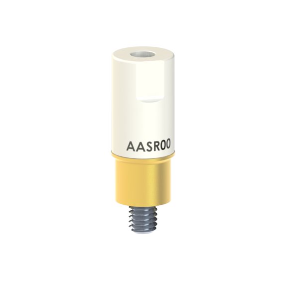 AA-SR-00