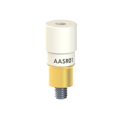 AA-SR-01