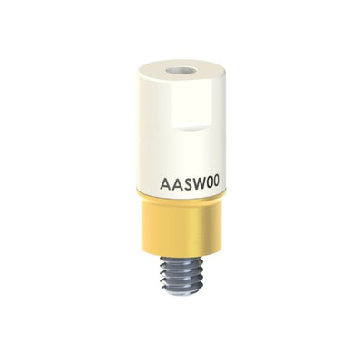 AA-SW-00