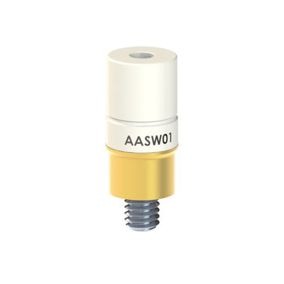 AA-SW-01