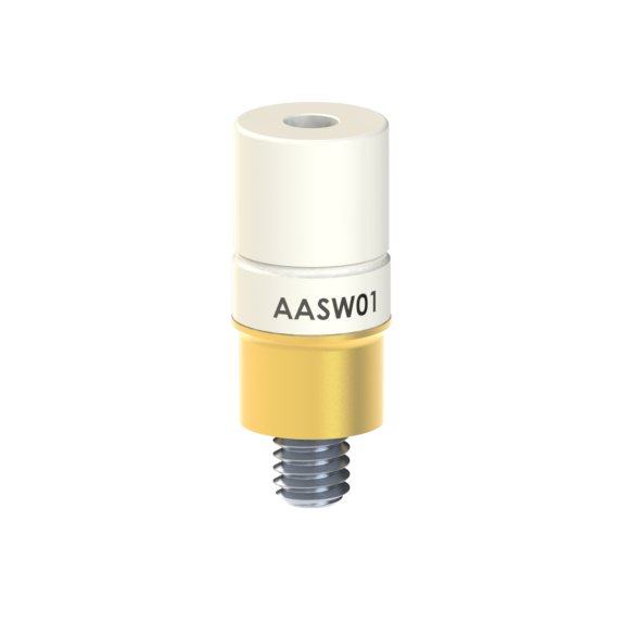 AA-SW-01