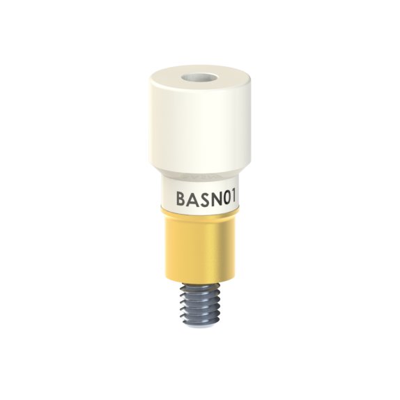 BA-SN-01