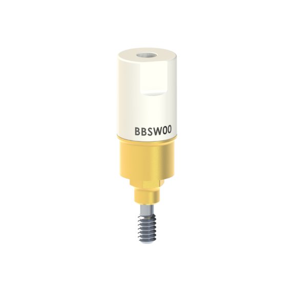 BB-SW-00