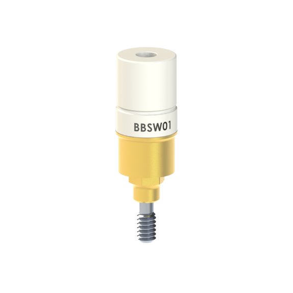 BB-SW-01