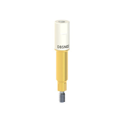 DB-SN-02