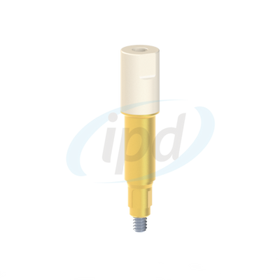 IPD-DBSR02