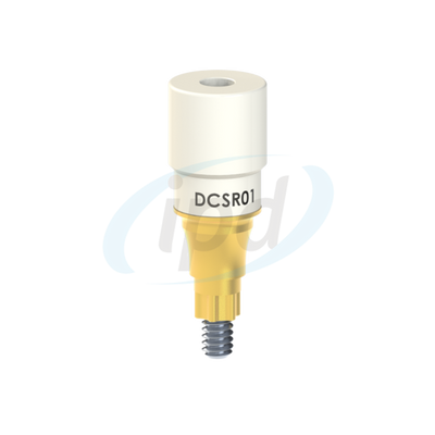 IPD-DCSR01