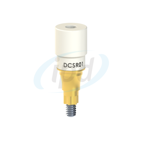 IPD-DCSR01