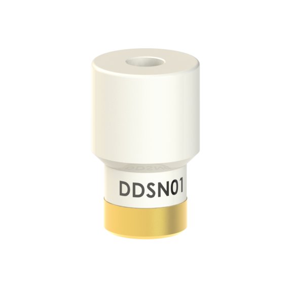 DD-SN-01