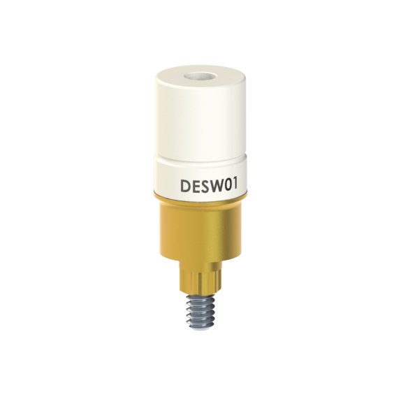 DE-SW-01