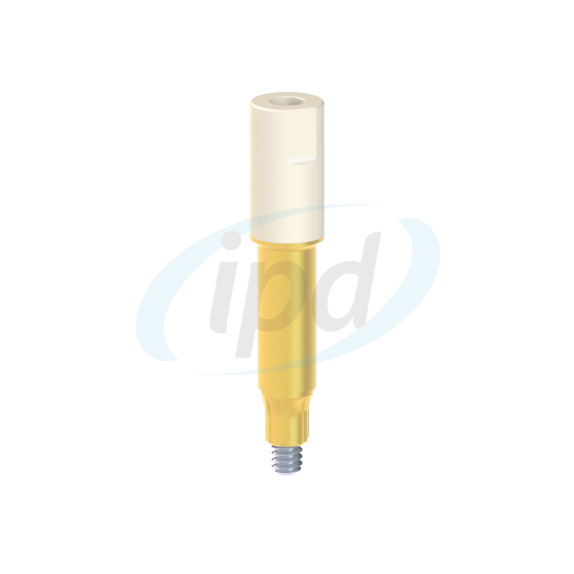 IPD-EBSN02