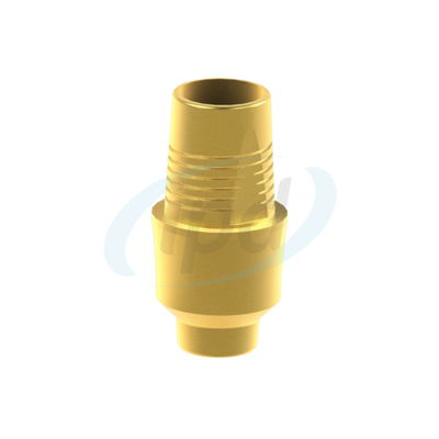 IPD-FAIN05-3D